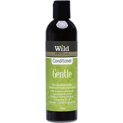 Collection image for: Conditioner