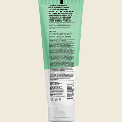 Acure Juice Cleanse Supergreens & Adaptogens Shampoo 236ml, back label with ingredients and directions