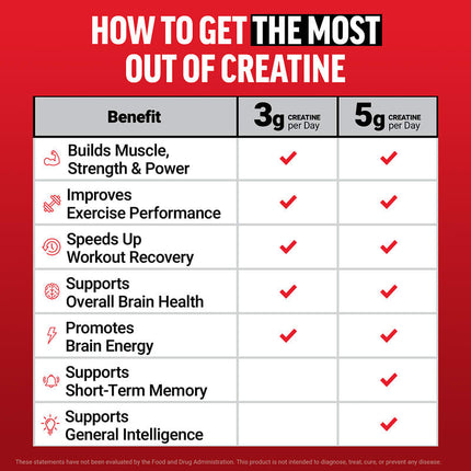 Force Factor Creatine Monohydrate Gummies (150 Gummies) Watermelon additional product image 6