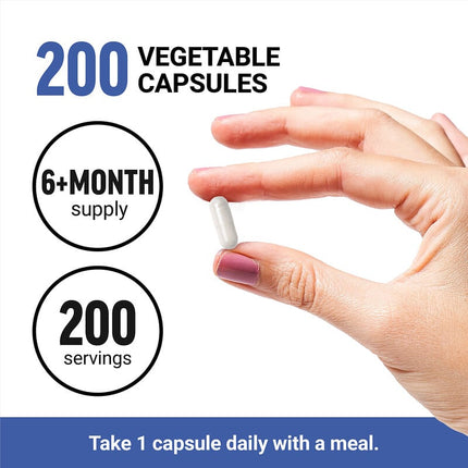 Force Factor Fundamentals NAC N-Acetyl-L-Cysteine 600 mg 200 Vegetable Capsules additional product image 4