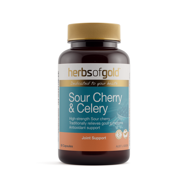 Herbs of Gold Sour Cherry & Celery 60 capsules bottle, a tart cherry and celery seed supplement, front of pack