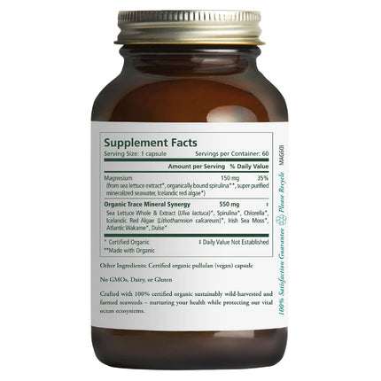 Pure Synergy Vital Ocean Magnesium 60 capsules back label with supplement facts and ingredients